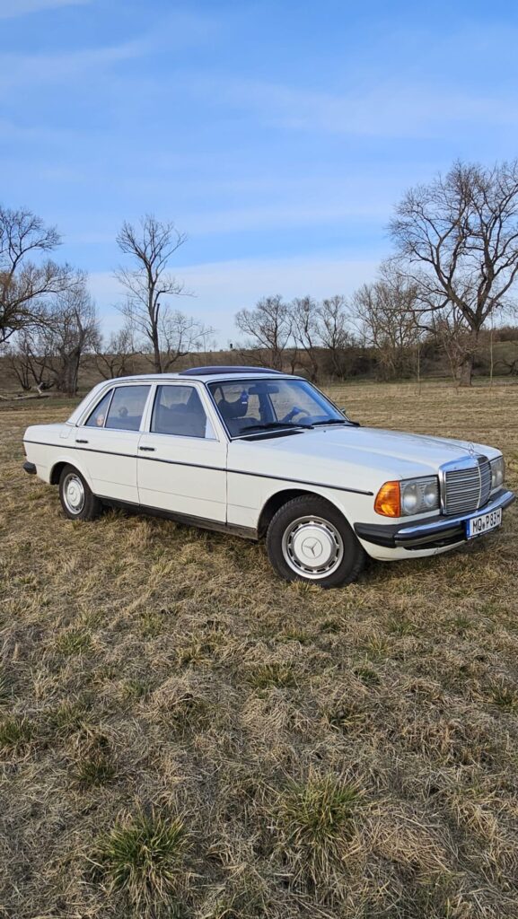 Mercedes W123 / E230E / Sehr schöner Zustand