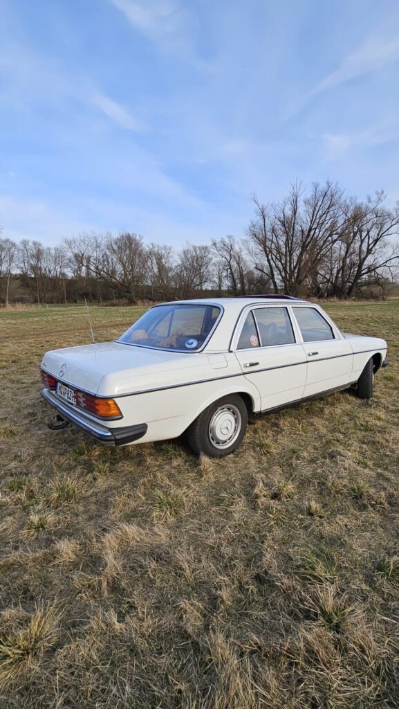 Mercedes W123 / E230E / Sehr schöner Zustand