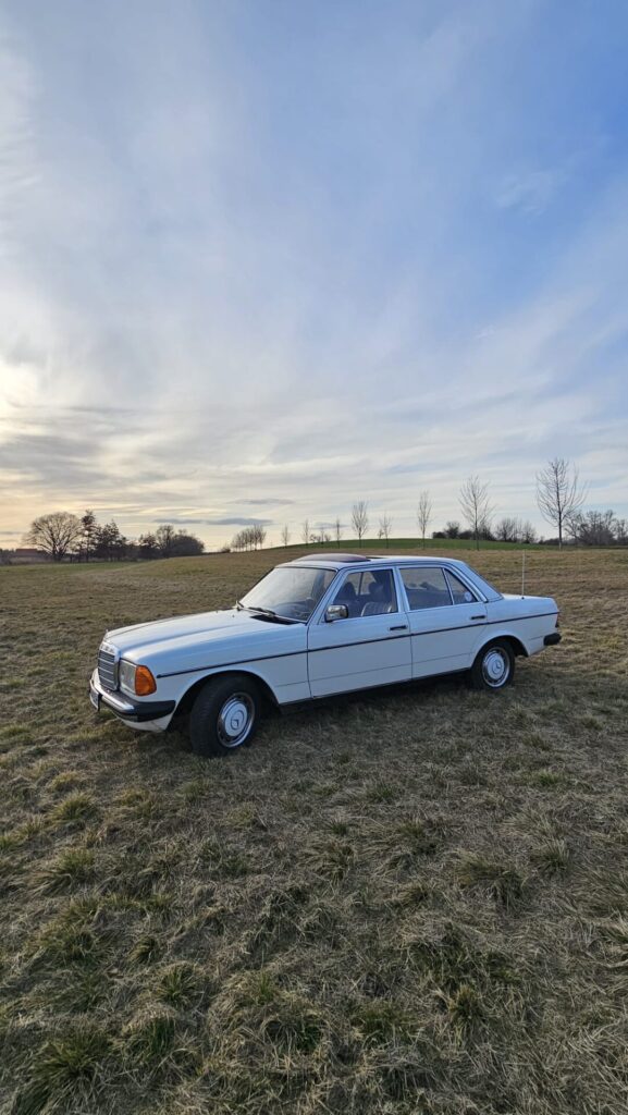 Mercedes W123 / E230E / Sehr schöner Zustand