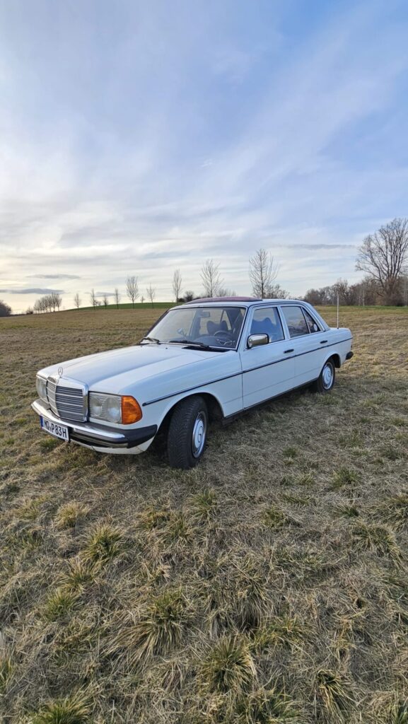 Mercedes W123 / E230E / Sehr schöner Zustand